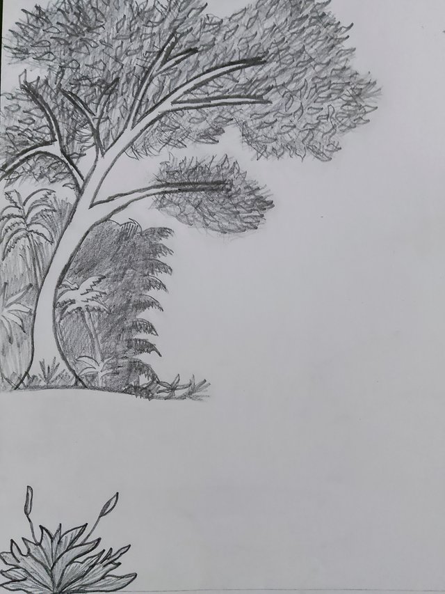 1000082449.jpg