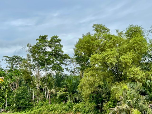 IMG_9808.jpeg