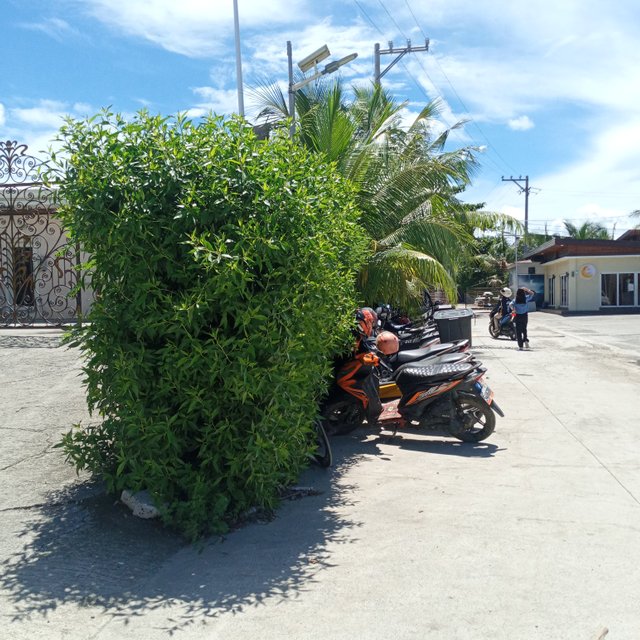 20250614_125449.jpg