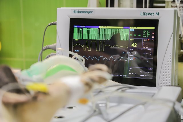 monitoring-4939621_1280.jpg
