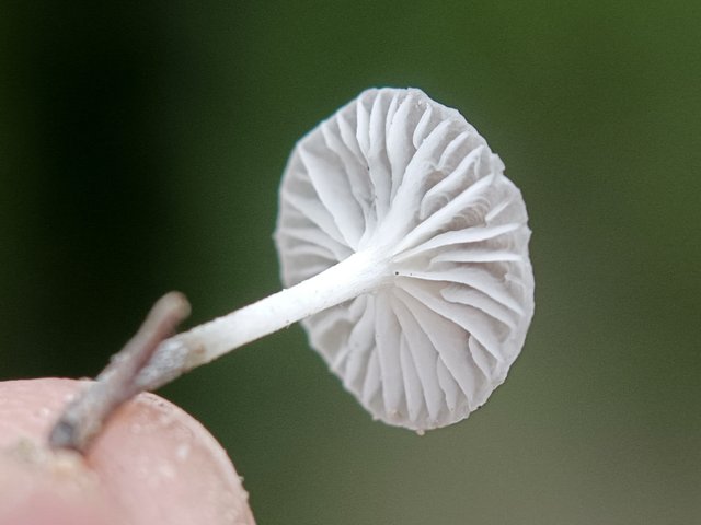 img_20250915_wa0047.jpg