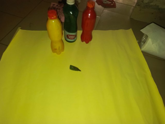 IMG_20250627_161925_369.jpg