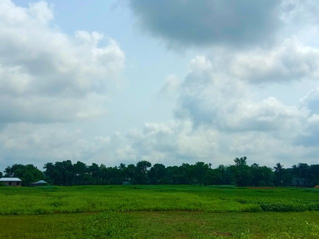 IMG_20250521_103637.jpg