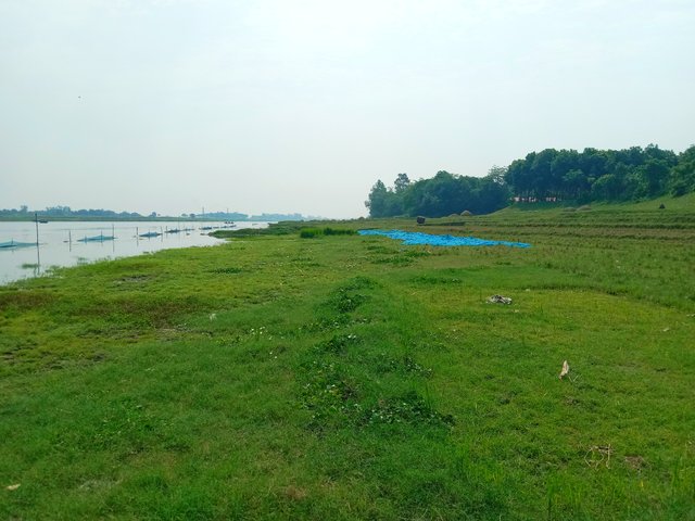 IMG_20250603_215417.jpg