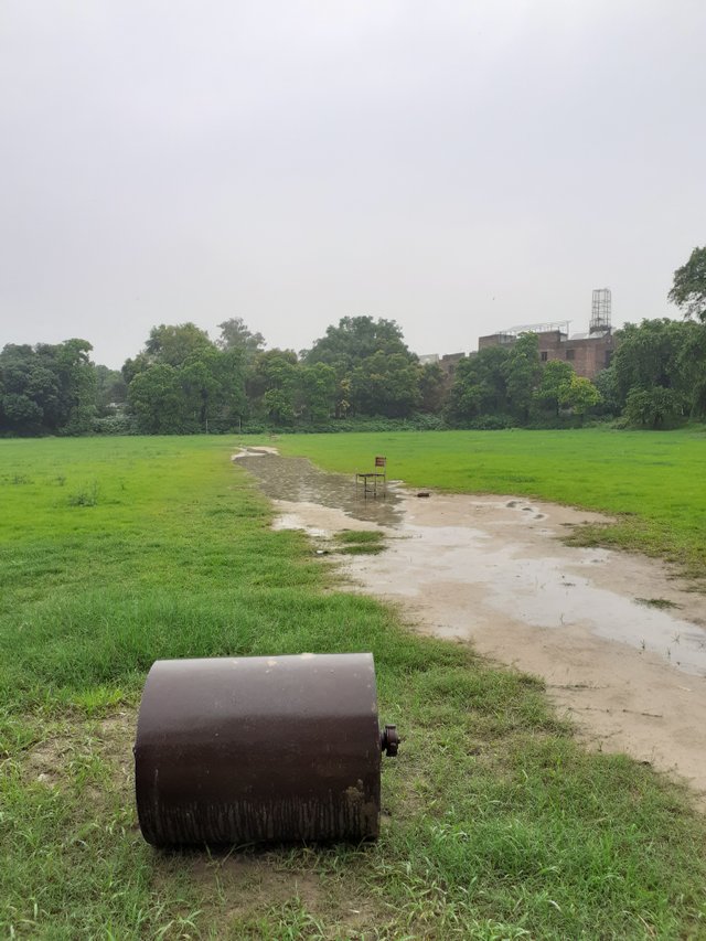 20250714_142050.jpg