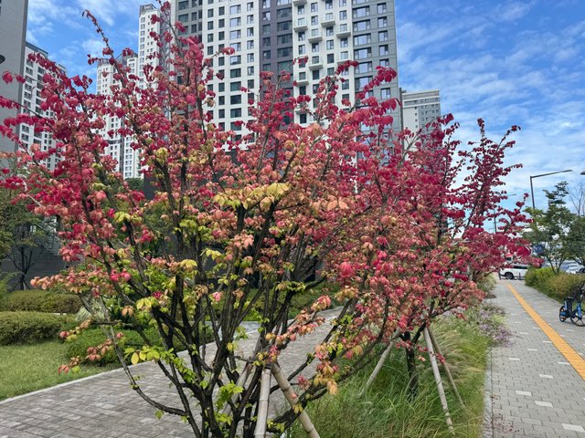 KakaoTalk_20250930_143903358.jpg