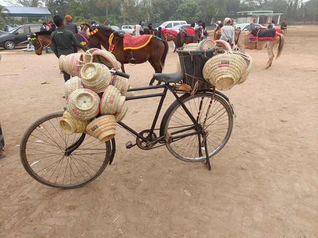 IMG20250103150814.jpg
