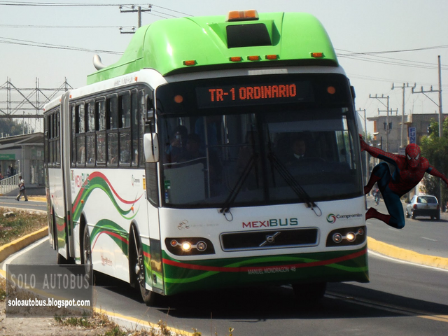 Mexibus plionson.png