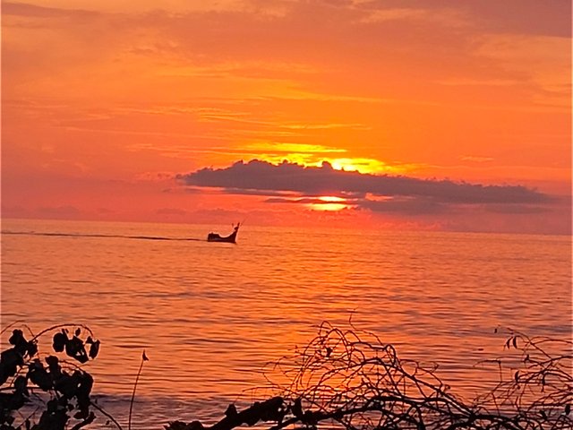 IMG_20250525_062147.jpg