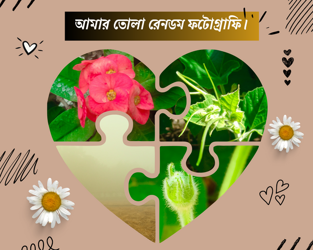 আমার তোলা সুন্দর কিছু আলোকচিত্র_20241220_234544_0000.png