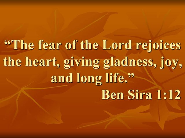 Daily bible reading. The fear of the Lord rejoices the heart, giving gladness, joy, and long life.jpg