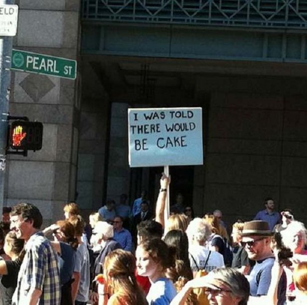 protest-trolls-funny-signs-cake.jpg