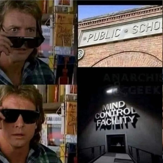 public-schools-are-mind-control-facilities.jpg