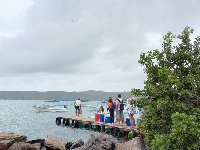 IMG_20250406_094113_820.jpg