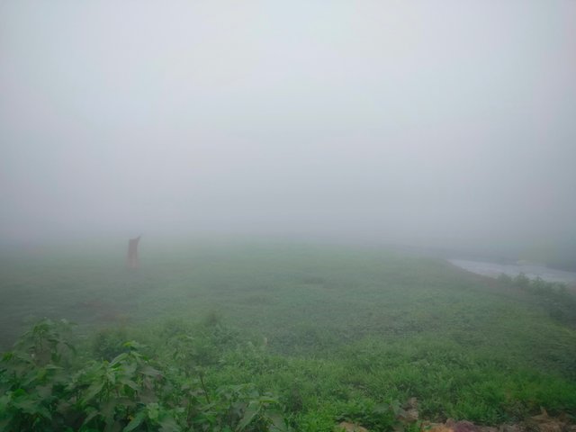 IMG20250202073555.jpg
