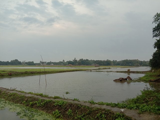 1000583622.jpg