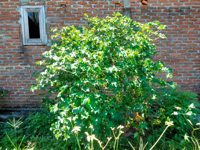 IMG20250609114142.jpg