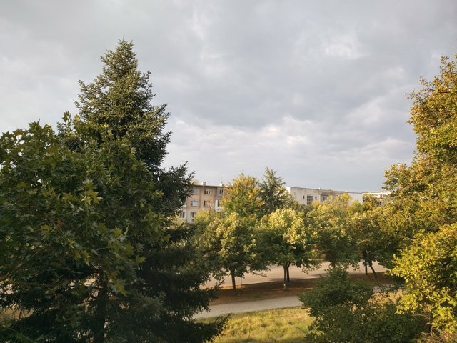 IMG_20250831_075653_HDR.jpg