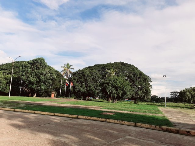 20250507_170054.jpg