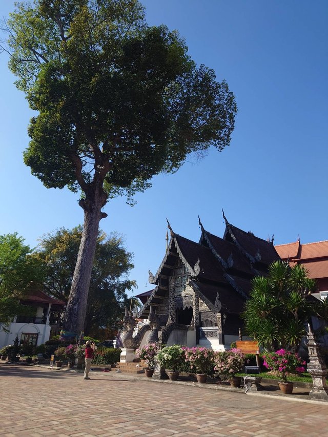 Wat Chedi Luang Worawihan5.jpg