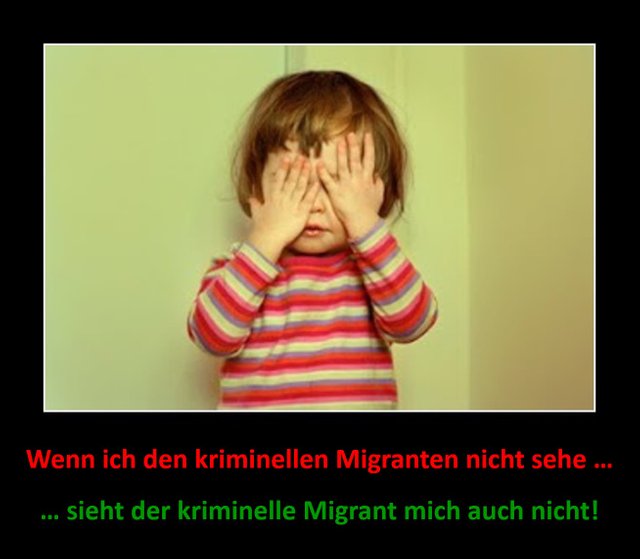 Migrantenkriminalität.jpg