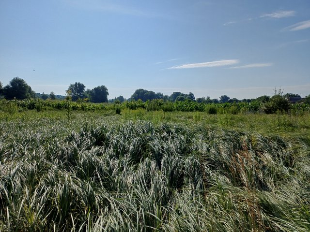20250720_083258.jpg