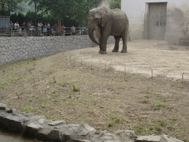 DSC04890.JPG