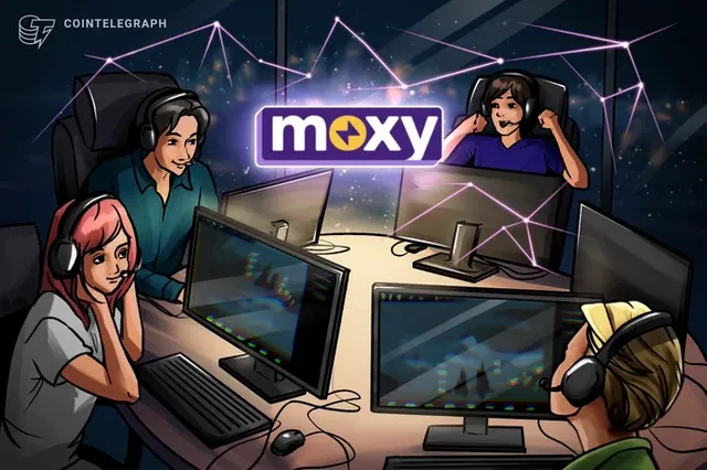 moxy.webp