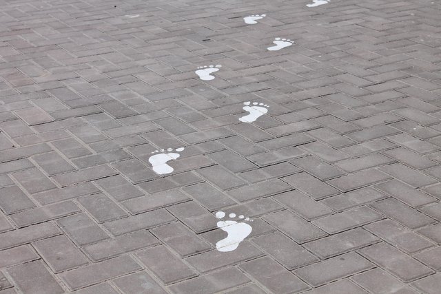 1000087064.jpg