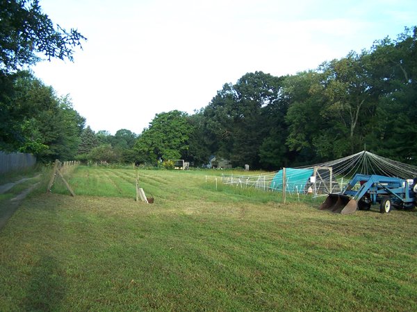 Mowing finally3 crop Aug. 2018.jpg