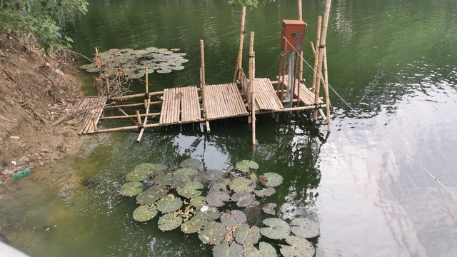IMG_20240608_162238.jpg