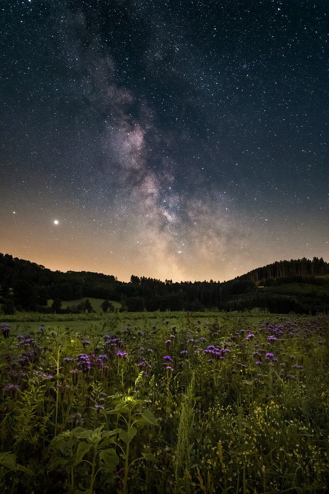 starry-sky-5410078_1280.jpg