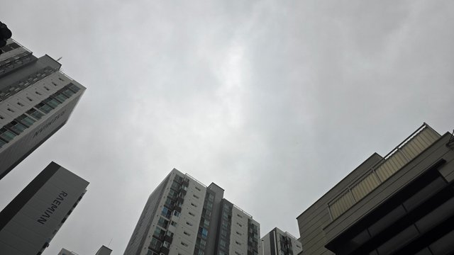 1000133914.jpg