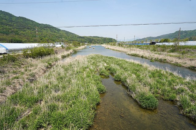 b-DSC01118.JPG