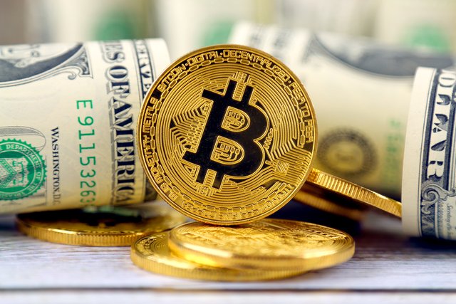 bitcoin-and-dollar-bills.jpg