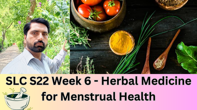 SLC S22 Week 3 - Herbal Medicine for Men's Hormonal Health_20250122_164202_0000.png