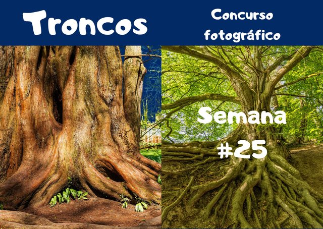 Concurso fotografico #3 (18).jpg