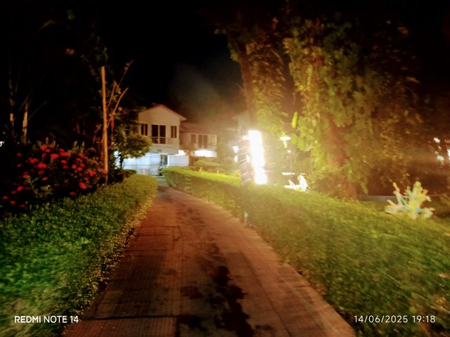 IMG_20250614_191850.jpg