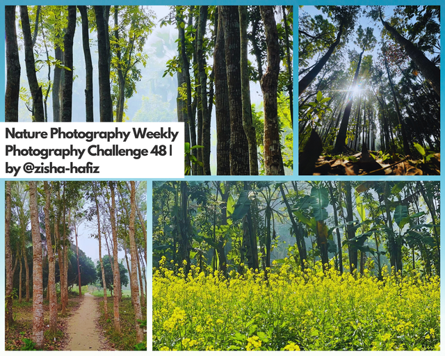 Nature Photography Weekly Photography Challenge 48  by @zisha-hafiz.png