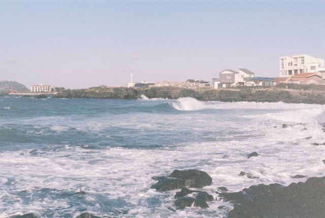 06.JPG