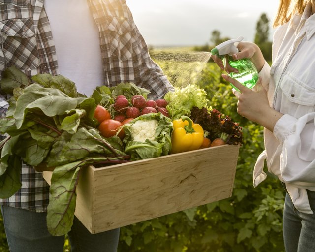 close-up-basket-vegetables.jpg