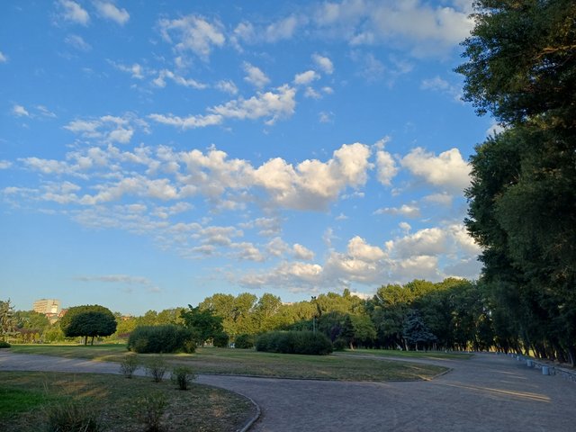 20250814_064243.jpg