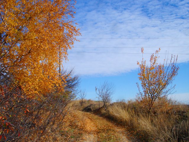 DSC03364.JPG