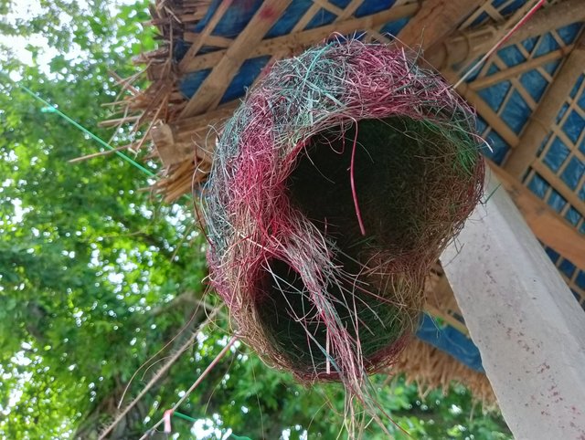 IMG20250725161332.jpg