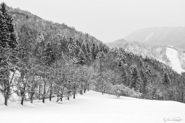 2019-01-28-Rosental-Drau-Winter-03-B&W.jpg