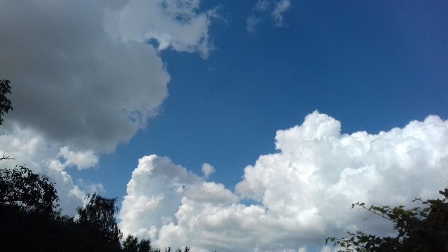 20180726_111321.jpg