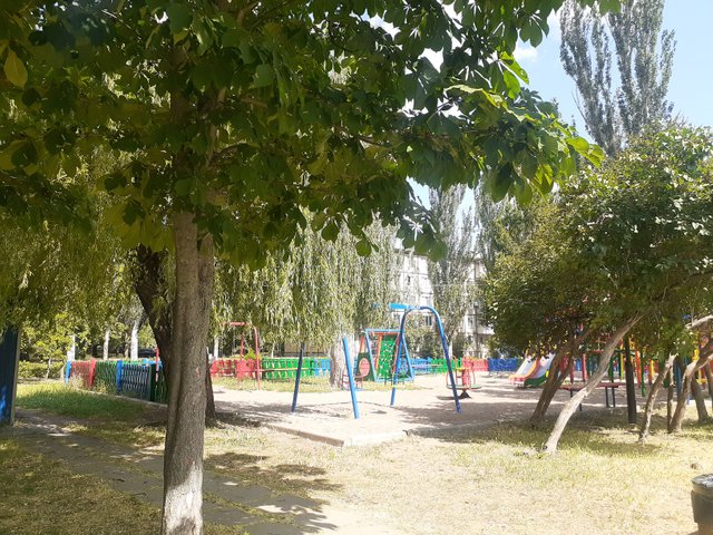 20250622_095554.jpg