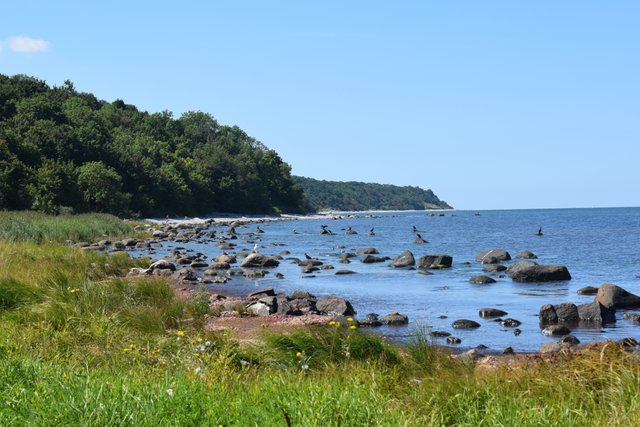 DSC_0200.JPG