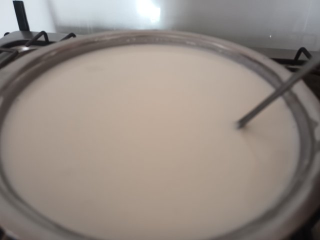 20250228_090328.jpg
