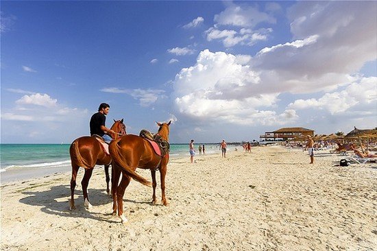 Djerba-Island.jpg